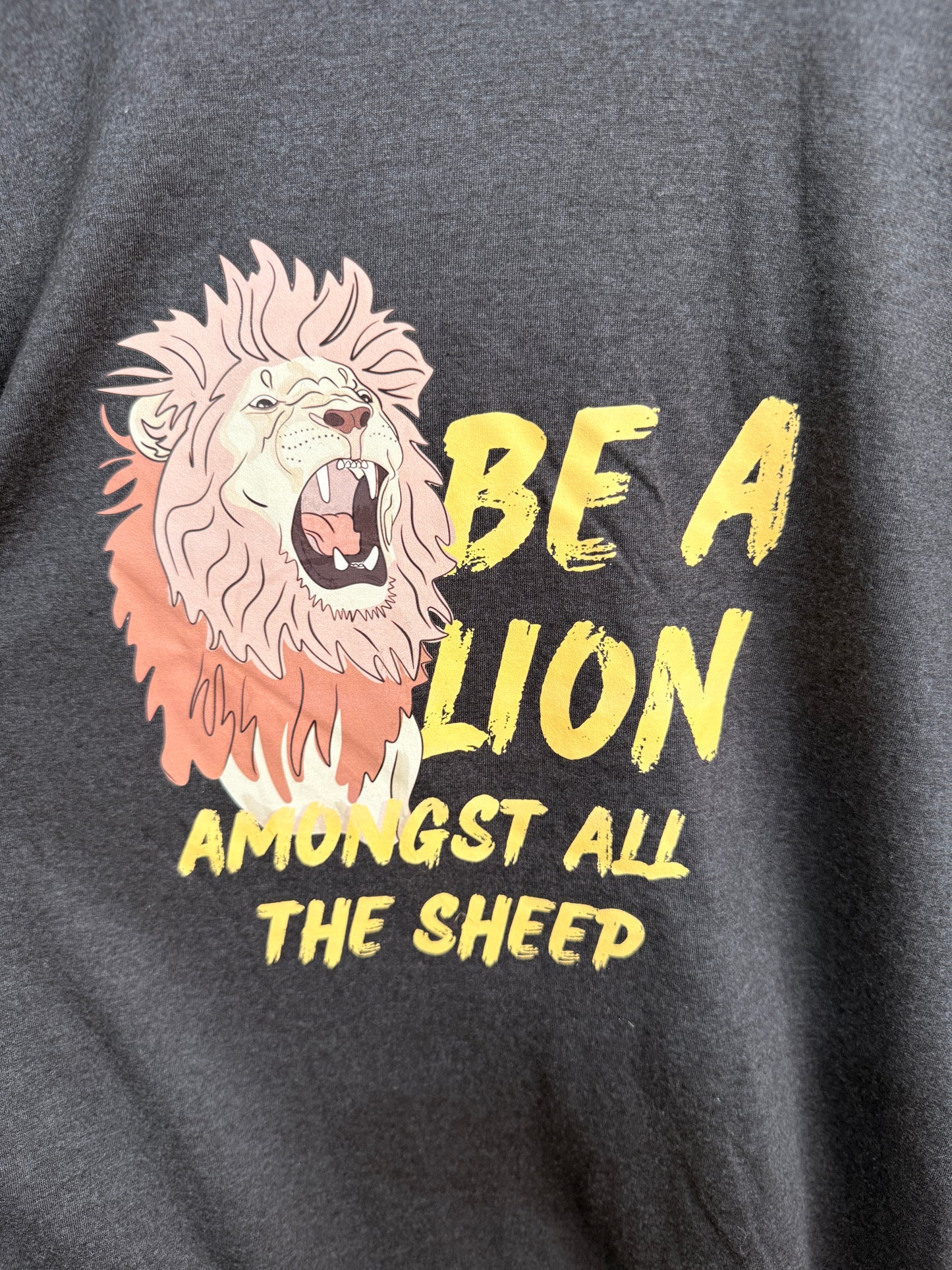DoGoodly Upcycled T-Shirt "Be A Lion" Print